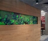 Arium AEC Firm Designs Global Technology Company Plant Wall
