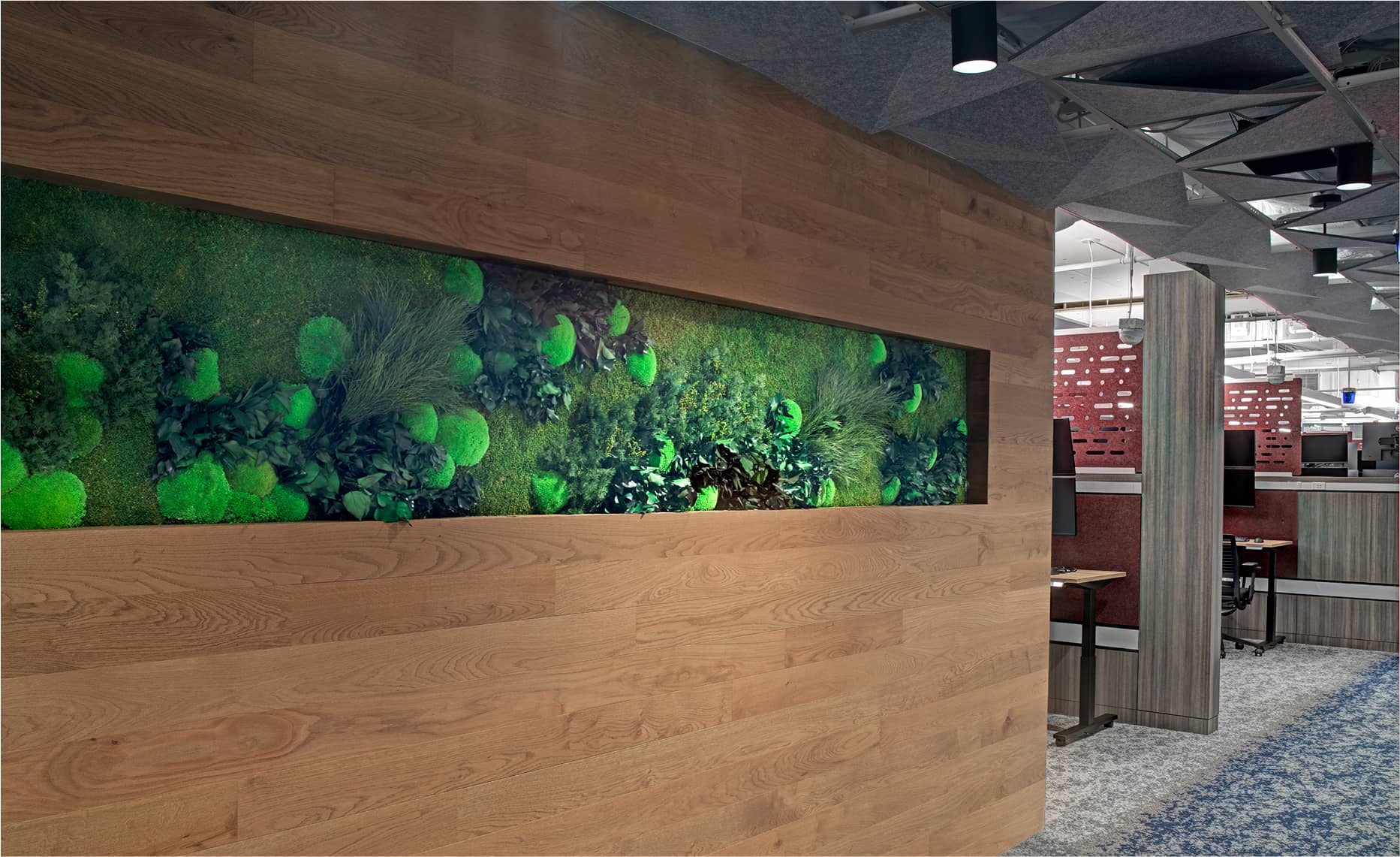 Arium AEC Firm Designs Global Technology Company Plant Wall