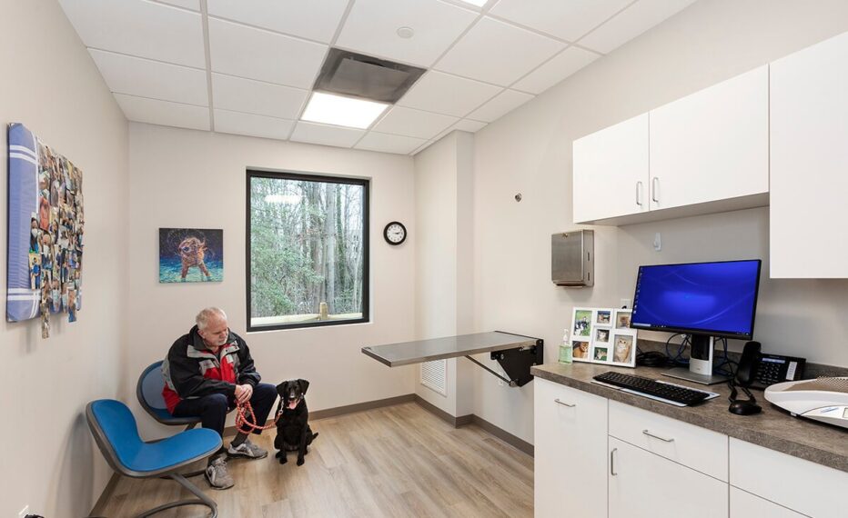 Bayside Animal Medical Center patient room with black dog