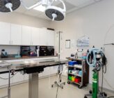 Bayside Animal Medical Center surgery room with exam table