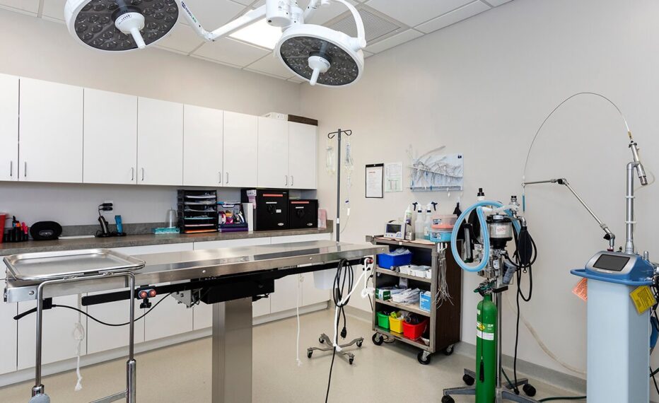 Bayside Animal Medical Center surgery room with exam table