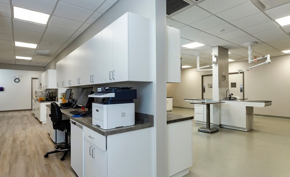 Bayside Animal Medical Center interior with desk