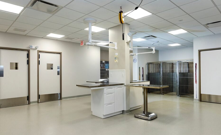 Bayside Animal Medical Center interior with kennels