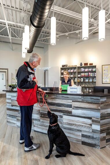 Bayside Animal Medical Center lobby with black dog and owner